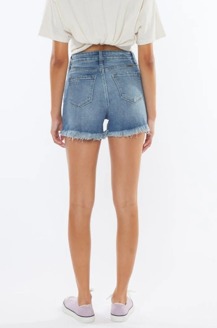 Brady High Rise Frayed Hem Distressed Denim Shorts
